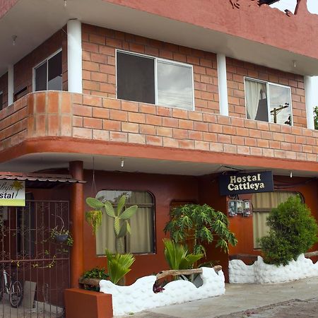 Hostal Cattleya Puerto Baquerizo Moreno Dış mekan fotoğraf