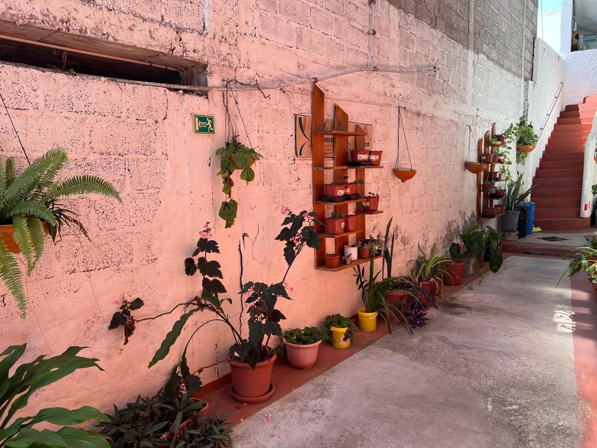 Hostal Cattleya Puerto Baquerizo Moreno Dış mekan fotoğraf