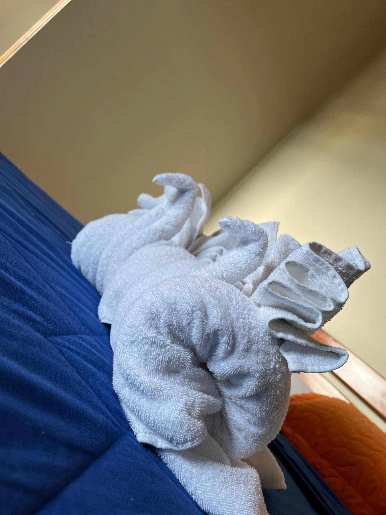 Hostal Cattleya Puerto Baquerizo Moreno Dış mekan fotoğraf