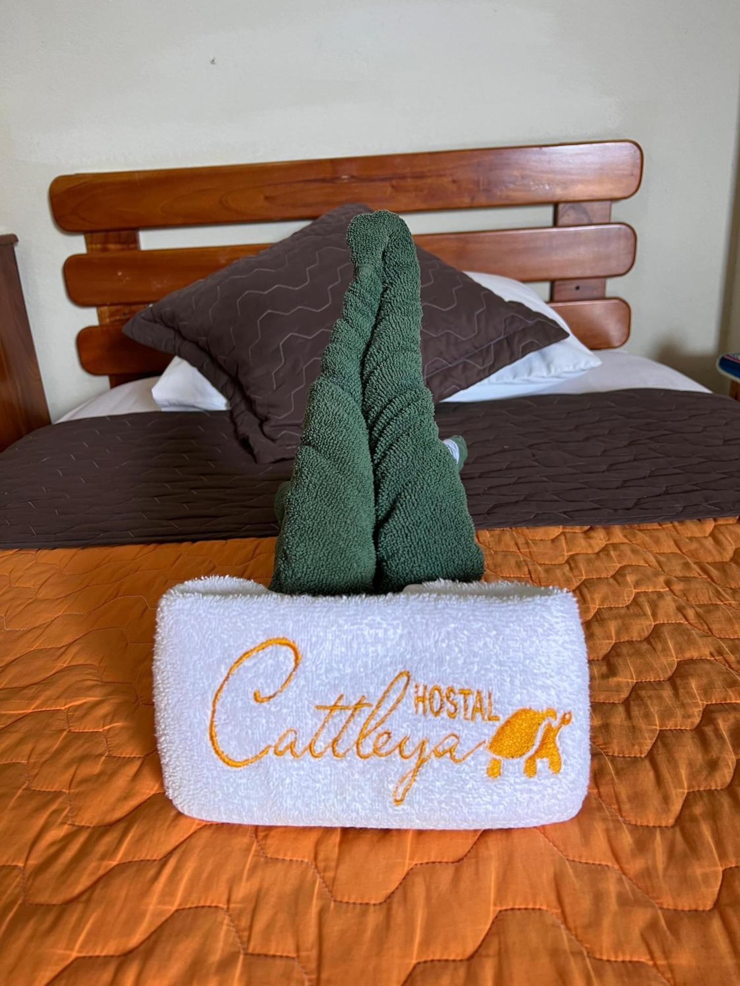 Hostal Cattleya Puerto Baquerizo Moreno Dış mekan fotoğraf